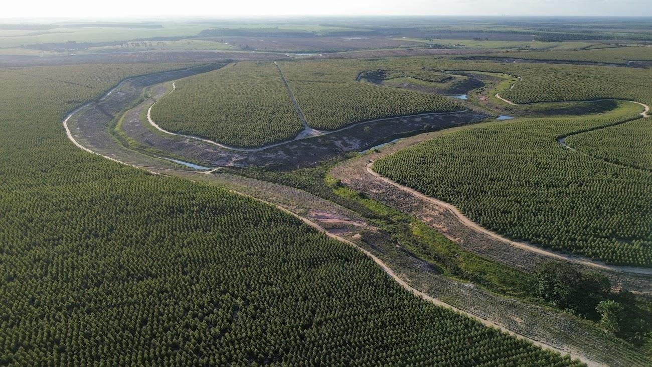 SUZANO ES/BA-Fazenda São Joaquim